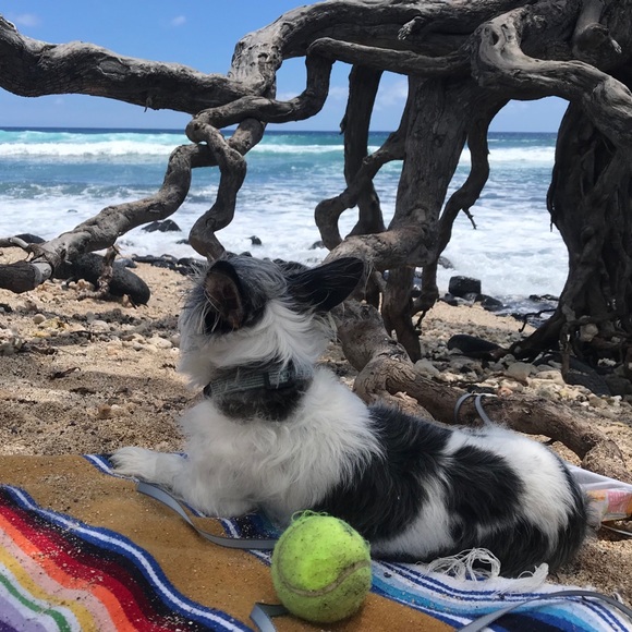 π¦ All $5 items available for bundle of 3 or more only to make it worth to ship - Picture 7 of 16